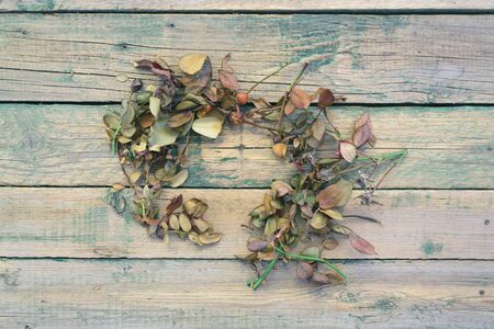 Rose leaves on the old wooden backgroundの写真素材