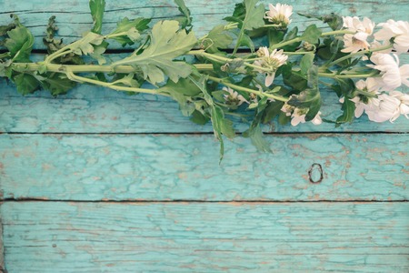 Fresh flowers of chrysanthemums on old wooden tableの写真素材