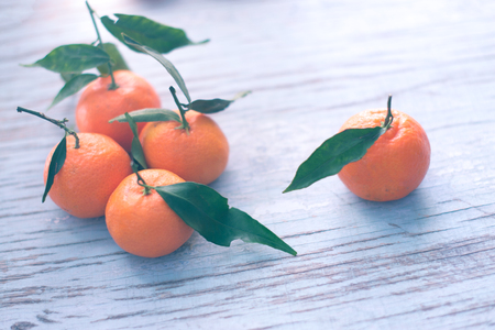 Tangerines with leaves on a blue tableの写真素材