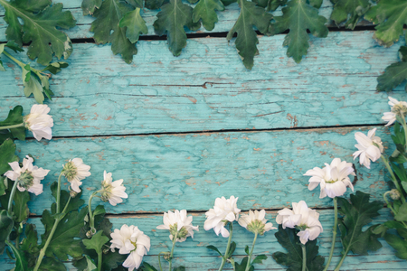 Fresh flowers of chrysanthemums on old wooden tableの写真素材