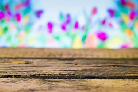 Old wooden board on a blurred background springの写真素材
