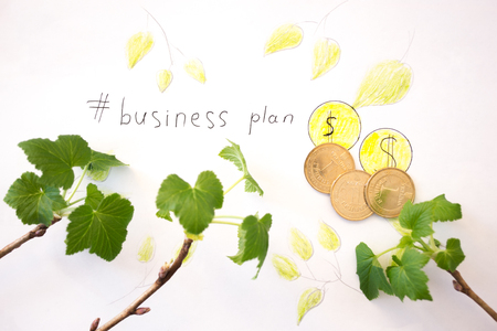 Business plan inscription with coins.の写真素材