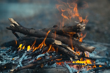 Bonfire in nature in tourismの写真素材