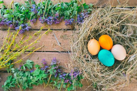 Multi-colored Easter eggs on a wooden background in the nestの写真素材