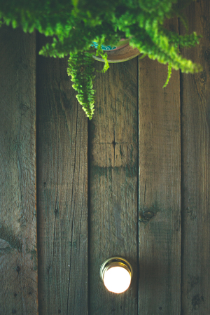 Green fern vase on a wooden backgroundの写真素材