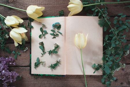 Flowers on an open blank book on a wooden backgroundの写真素材