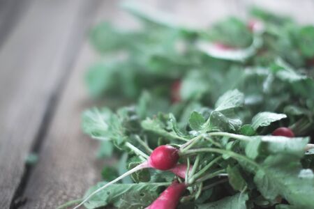 Fresh radish harvest on a wooden backgroundの写真素材