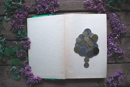 Coins on the open bookの写真素材