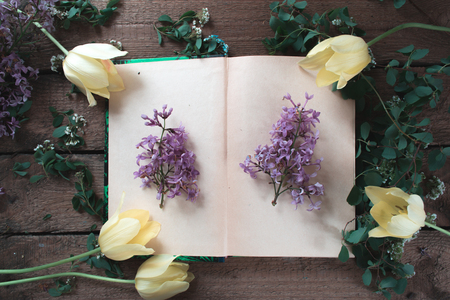 Flowers and leaves of plants on an open bookの写真素材