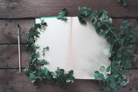 Flowers and leaves of plants on an open bookの写真素材