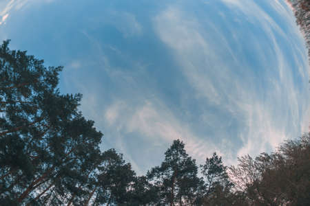 Spring evening landscape at sunsetの写真素材