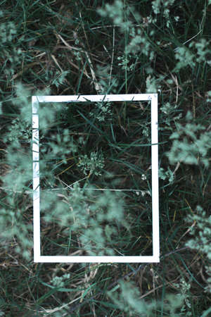 Green leaves background blurred in white frameの写真素材