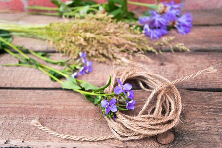 Plants and flowers on a wooden background with a ropeの写真素材