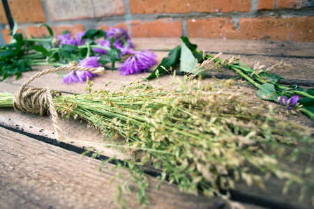 Plants and flowers on a wooden background with a ropeの写真素材