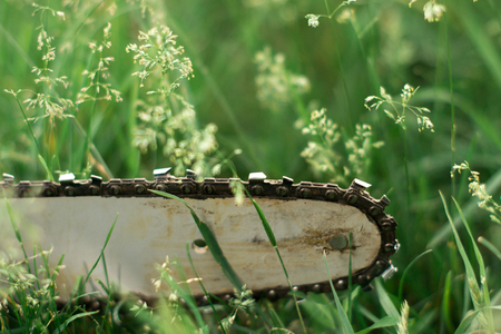 Electric saw on the lawn grassの写真素材