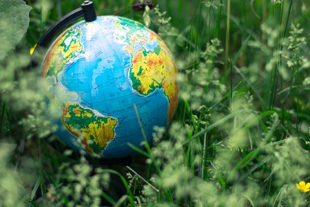 Globe on the green grass in the parkの写真素材