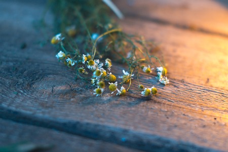 Wildflowers on a wooden dark old backgroundの写真素材