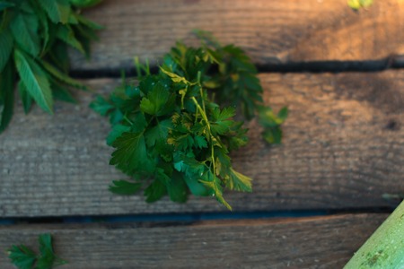 Fresh green parsley on an old wooden board with vegetablesの写真素材
