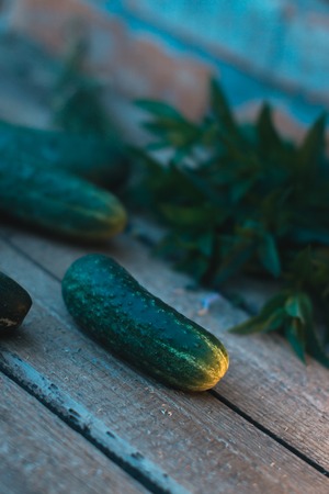 Fresh cucumber from the garden on a wooden backgroundの写真素材