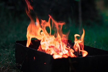 A bonfire in the nature in a forest with a blurred backgroundの写真素材