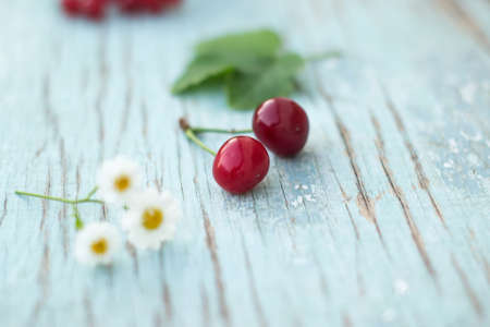 Berries of red currant summer vitamins background crop on blueの写真素材