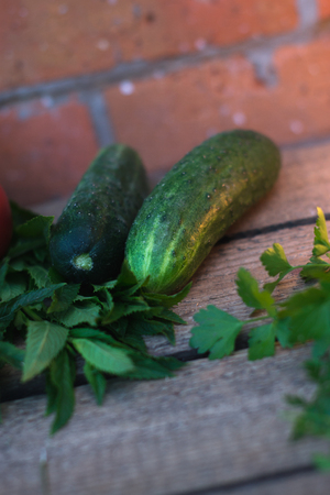 Fresh cucumber from the garden on a wooden backgroundの写真素材