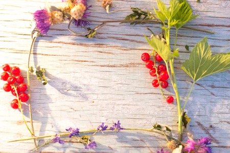 Summer berries and flowers frame for text