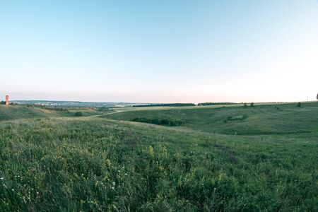 Summer meadow at sunset day evening landscape