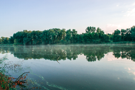 Morning summer scenery on a pond. Relax conceptの写真素材
