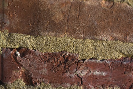 Texture of an old brick wall in a closetの写真素材