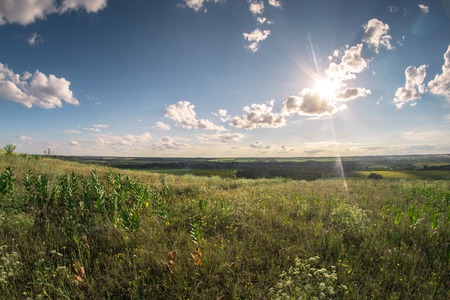 Summer sunny landscape in the meadow for a fisheyeの写真素材