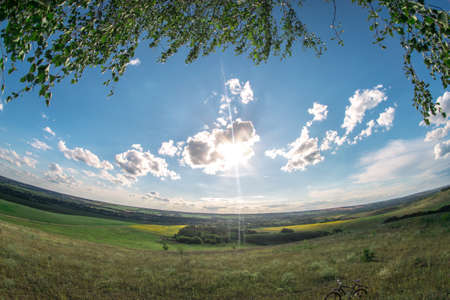Summer sunny landscape in the meadow for a fisheyeの写真素材