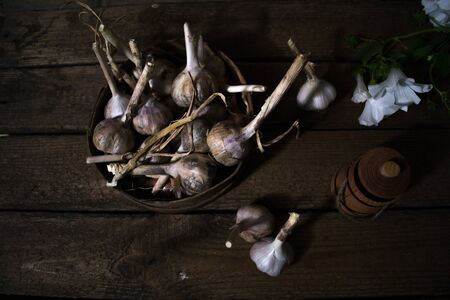 Harvest of garlic on a wooden old backgroundの写真素材