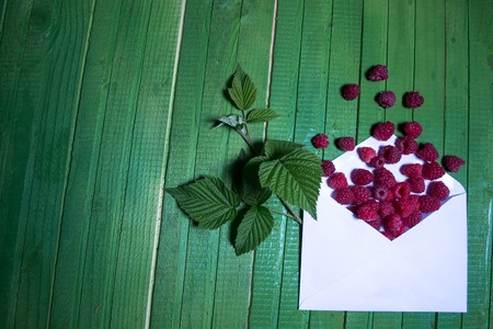 Fresh raspberry berries in an envelope on a green wooden backgroundの写真素材