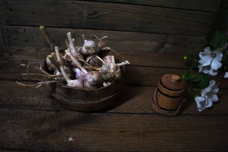Harvest of garlic on a wooden old backgroundの写真素材