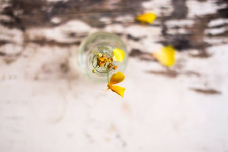 Dry flower in a glass bulb on a wooden backgroundの写真素材