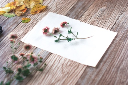 Dried flowers with autumn leaves on a wooden backgroundの写真素材