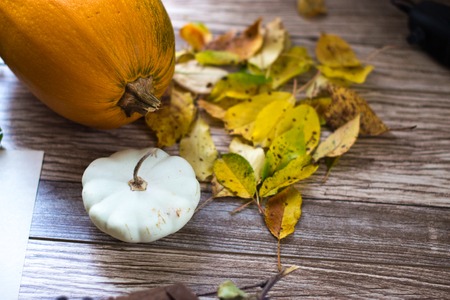 Autumn still life pumpkin, squash and dried leaves