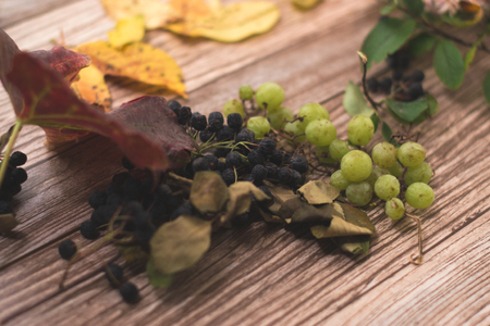 Autumn still life: chokeberry with yellow leaves on a wooden backgroundの写真素材