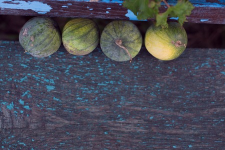 Small watermelons on an old wooden backgroundの写真素材