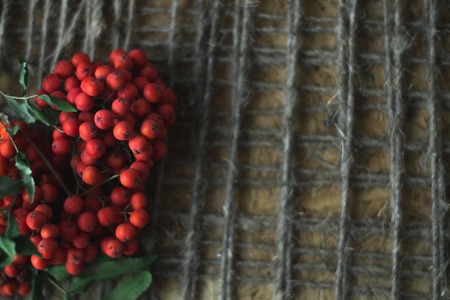 Rowan on a wooden background with a twine