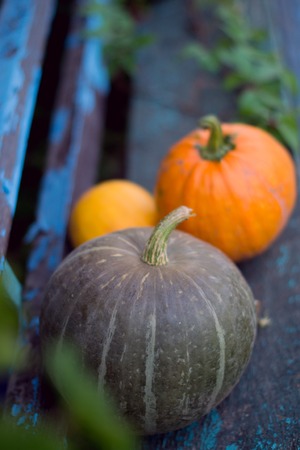 Pumpkin on wooden boards with a blurred backgroundの写真素材