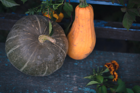 Pumpkin on wooden boards with a blurred backgroundの写真素材