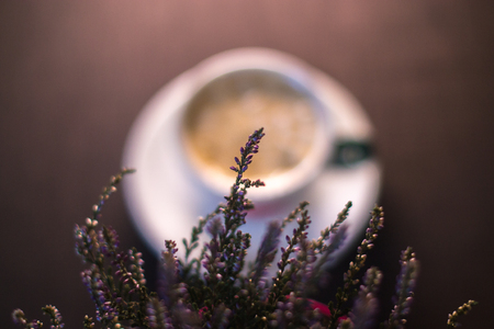 A cup of coffee near a plant in a pot with a blurred backgroundの写真素材