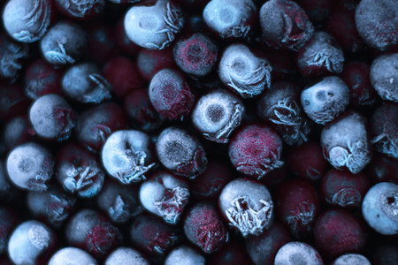 Fresh frozen cherries in ice and macro backgroundの写真素材