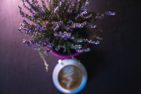 A cup of coffee near a plant in a pot with a blurred backgroundの写真素材
