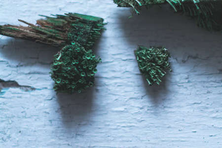 Stump in the moss on a white wooden background
