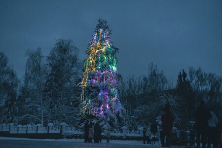 New Year tree in garlands in winter in the townの写真素材