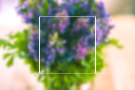 Primrose in a vase in a defocus with a place for the textの写真素材