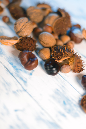 Nuts and chestnuts on a wooden white backgroundの写真素材